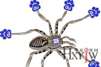 百度蜘蛛抓取规则解析插图