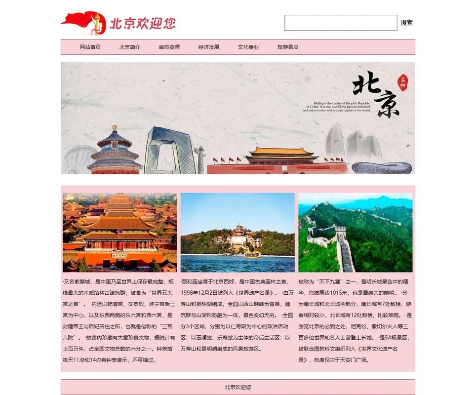 北京网页设计软件概览插图