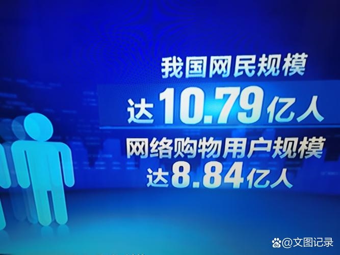 电商网民，新时代的消费力量插图