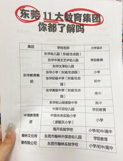 东莞教育流程速览插图