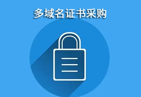 二级域名SSL证书选择指引插图