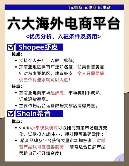 国外电商平台比较与选择指南插图