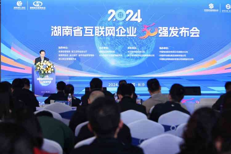 湖南互联网企业的崛起与发展插图