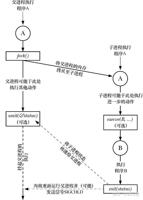 计算机编程语言与程序创建，从基础到进阶的桥梁插图