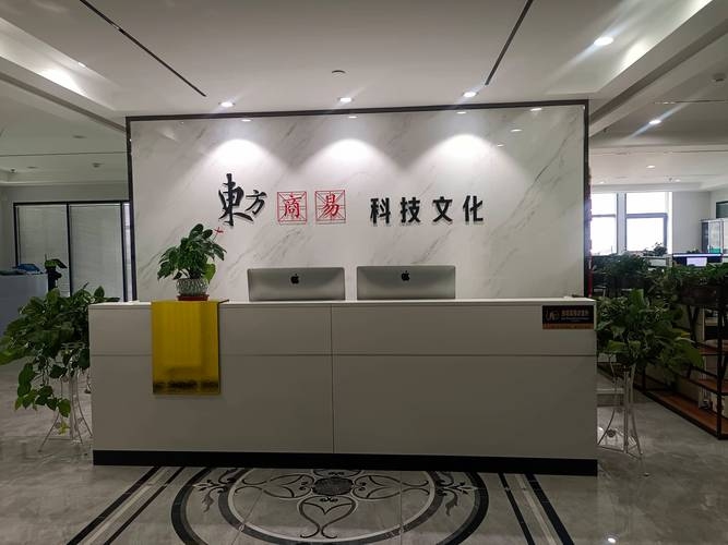 兰州网站建设之选，东方商易文化与专业团队助力企业网上发展。插图