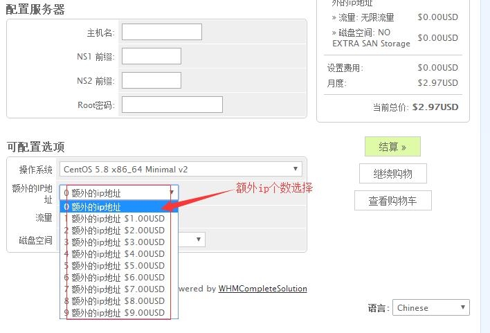 美国多IP服务器推荐插图