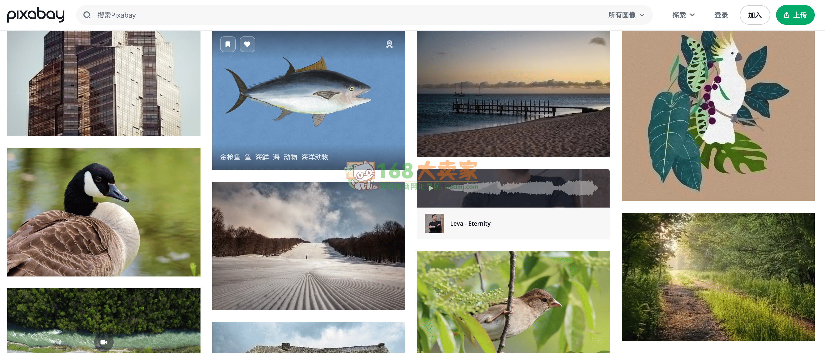 网页设计图片资源宝库，Pixabay与多个优质平台推荐插图