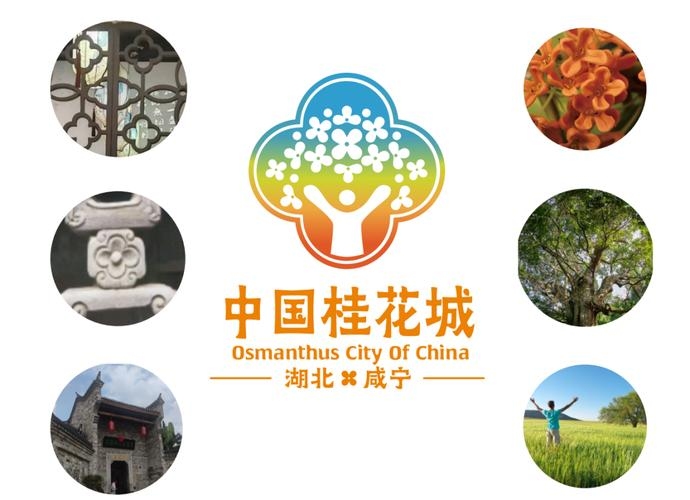 咸宁网站定制,打造专属品牌形象插图 咸宁网站定制,打造专属品牌形象插图