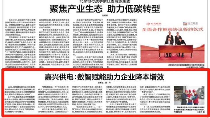 嘉兴网络服务公司，引领数字化转型的先锋力量插图