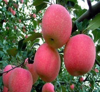 JS编程，轻松获取当前日期与时间插图