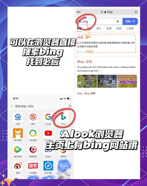 Bing搜索引擎与Zilibrary，探索信息海洋的新航路插图
