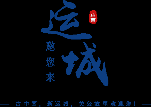 运城网络公司概览，专业服务与技术领先插图