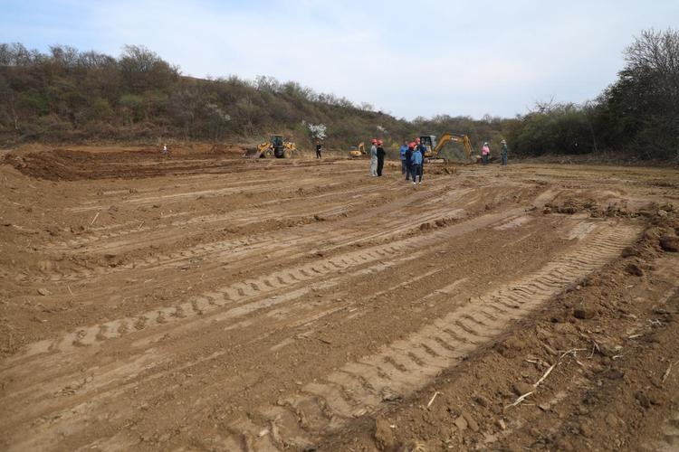 宜君县药业企业官网建设与土地利用项目插图