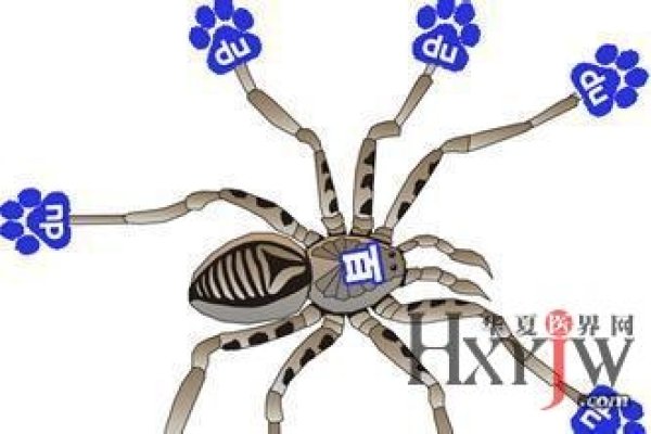 百度蜘蛛抓取规则解析-振佳策