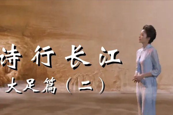 重庆在线直播卫视，传统与现代交融的视听盛宴-振佳策