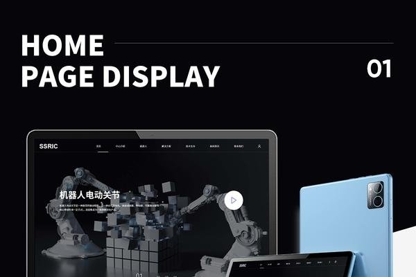 大连网站如何制作-振佳策