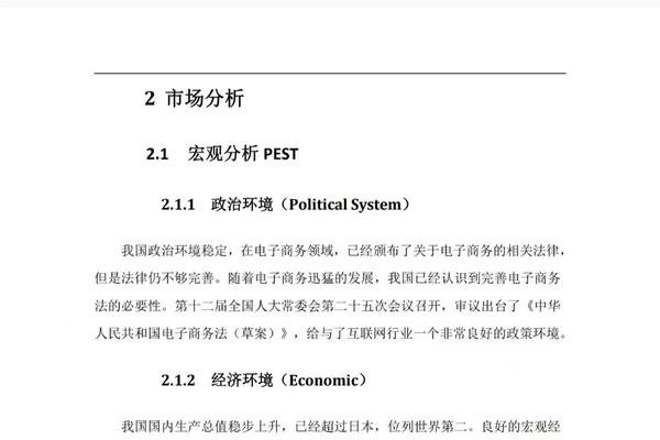 电商创业项目计划书，以质量与实惠为核心竞争力-振佳策