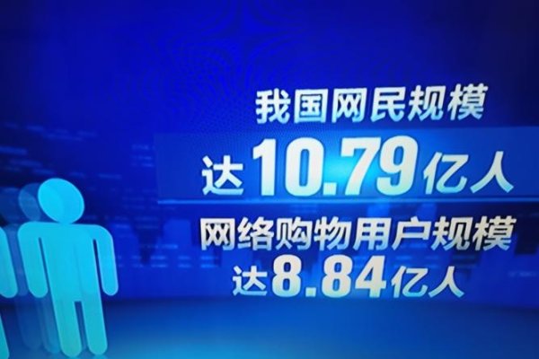 电商网民，新时代的消费力量-振佳策