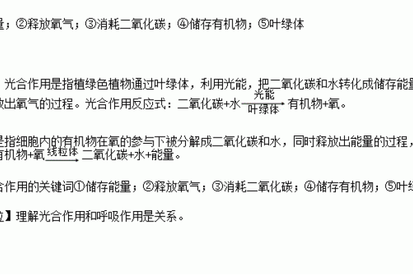 关键词的作用，理解并运用关键词的重要性-振佳策