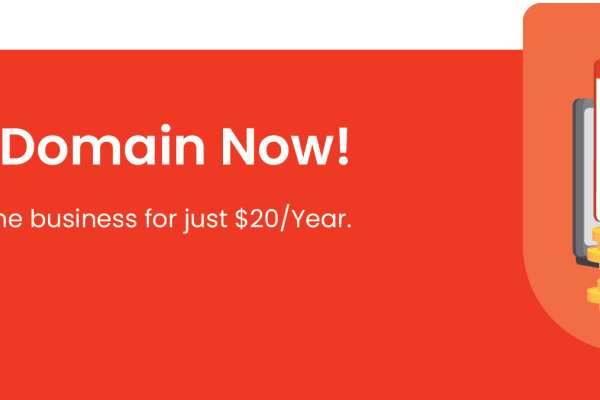 关于域名查询和Whois的信息，如何全面探索域名的历史与细节？-振佳策