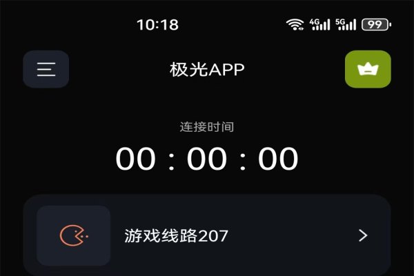极光加速器永久免费破解版，网络时代的速度与激情-振佳策