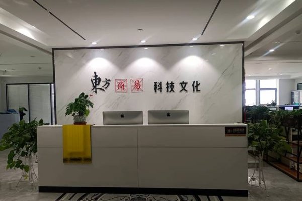兰州网站建设之选，东方商易文化与专业团队助力企业网上发展。-振佳策