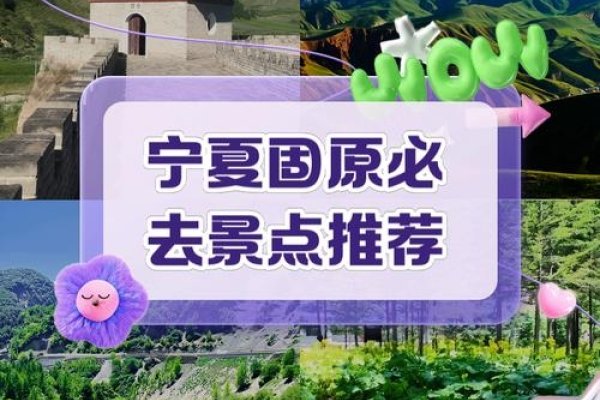 宁夏乡村旅游发展新动向，怀化与固原的文旅融合探索-振佳策