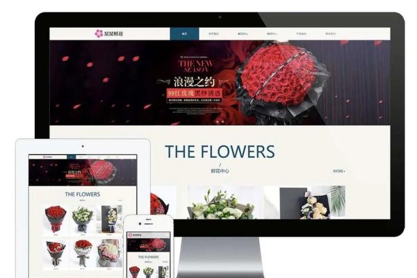 深圳福田网页设计，创新与实用的完美结合-振佳策