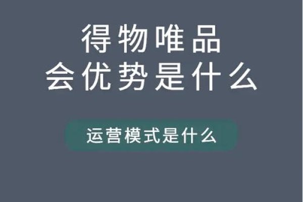 唯品会与百度权重，深度解析与探讨-振佳策