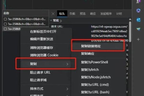 网页视频下载方法,浏览器功能、插件及实用技巧全解析!-振佳策
