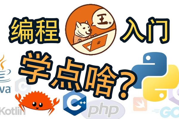 编程入门指南-振佳策