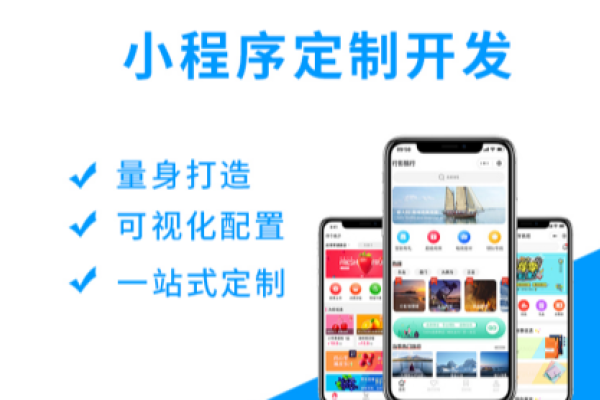 小程序开发公司网站建设与优化-振佳策