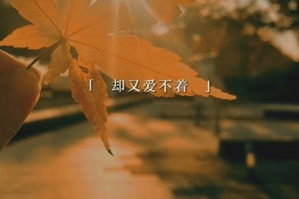 新东方直播共情作文，探索情感共鸣的力量-振佳策