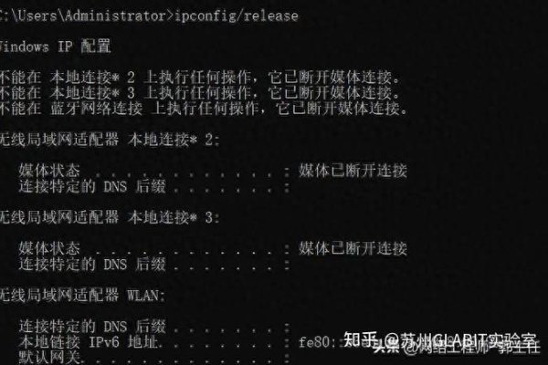 移动IP地址Ping不通的原因与解决方法，环境变量设置的重要性及网络诊断技巧解析-振佳策