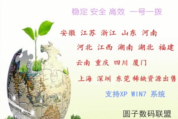 韩国VPS服务解析，优质供应商与动态拨号应用探究-振佳策
