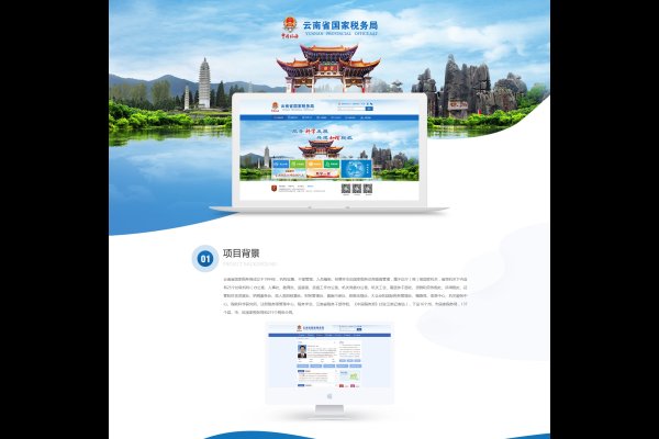昆明网站建设设计（昆明网站设计平台）-振佳策