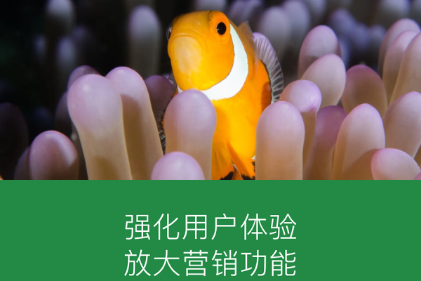 厦门小程序与网站建设公司推荐及选择指南-振佳策