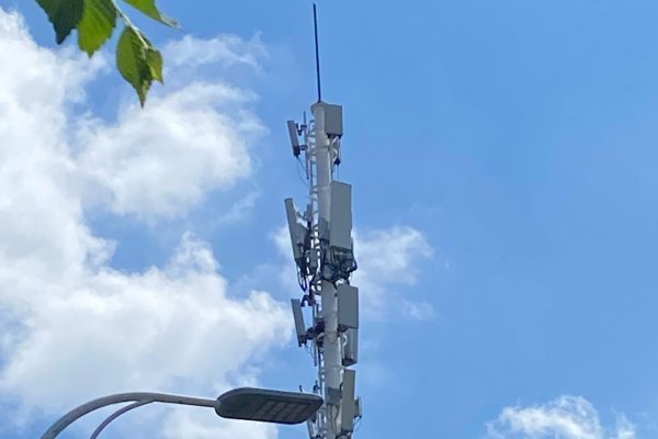 辽宁网络优化费用概述-振佳策