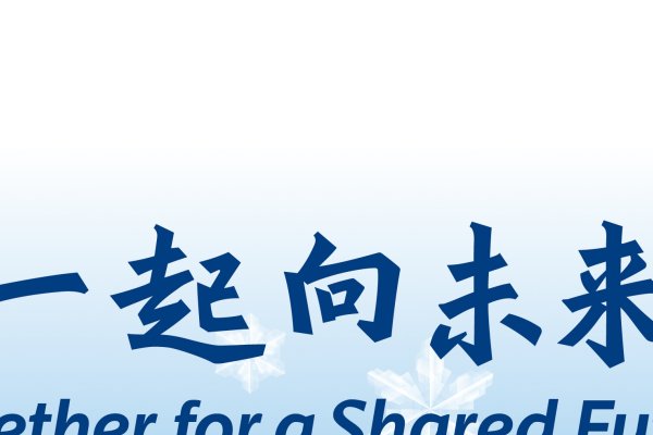 携手共进，共创未来—17网普宁站网店合作之旅-振佳策