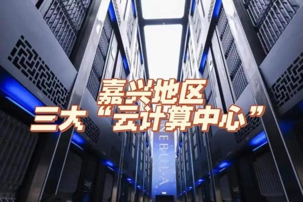 嘉兴网络服务公司，引领数字化转型的先锋力量-振佳策