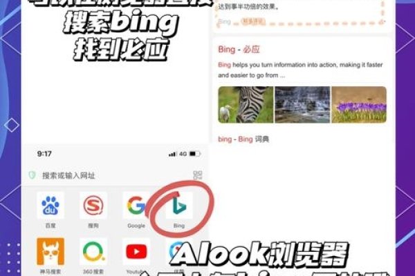 Bing搜索引擎与Zilibrary，探索信息海洋的新航路-振佳策