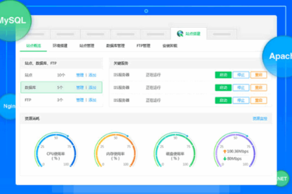 小鸟云加速器，助力网络飞翔的新动力-振佳策